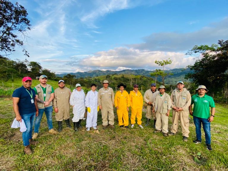 Actualmente se realiza la intervención con la quinta fase de ejecución a través del convenio 011-22 con la corporación ecológica mi huerto.